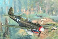 P-40N Kittyhawk - Image 1