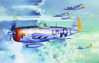 P-47D Thunderbolt - Image 1